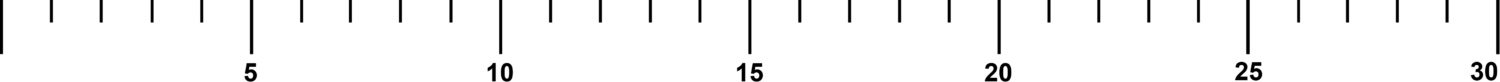 30 units scale